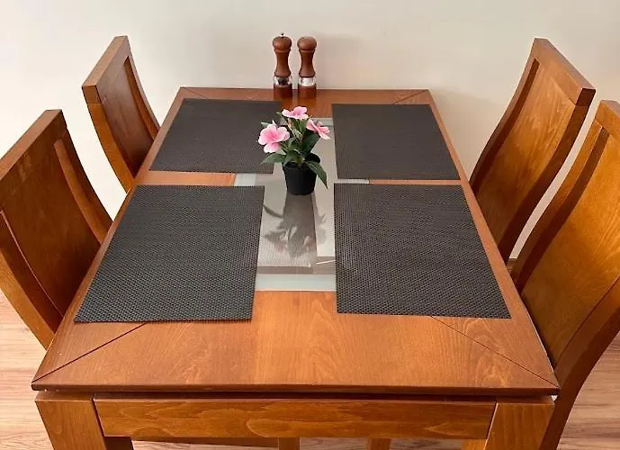 Cozy Mountain Apartment *